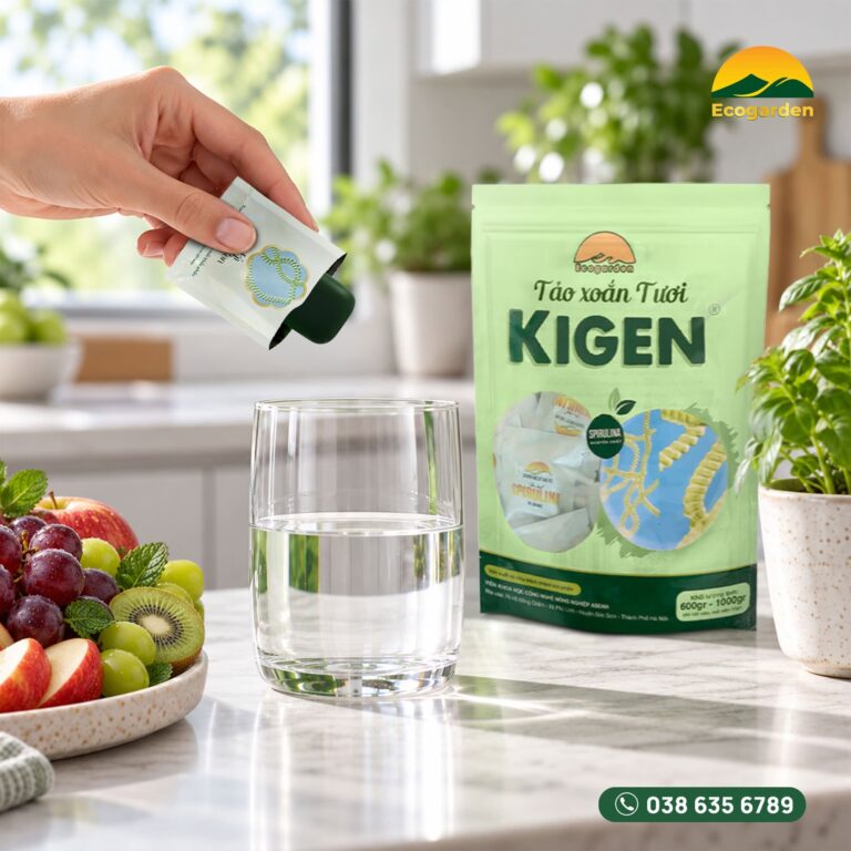 Tảo xoắn tươi Kigen