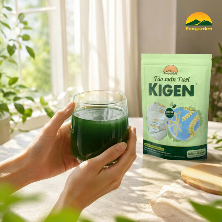 Sản phẩm tảo xoắn tươi